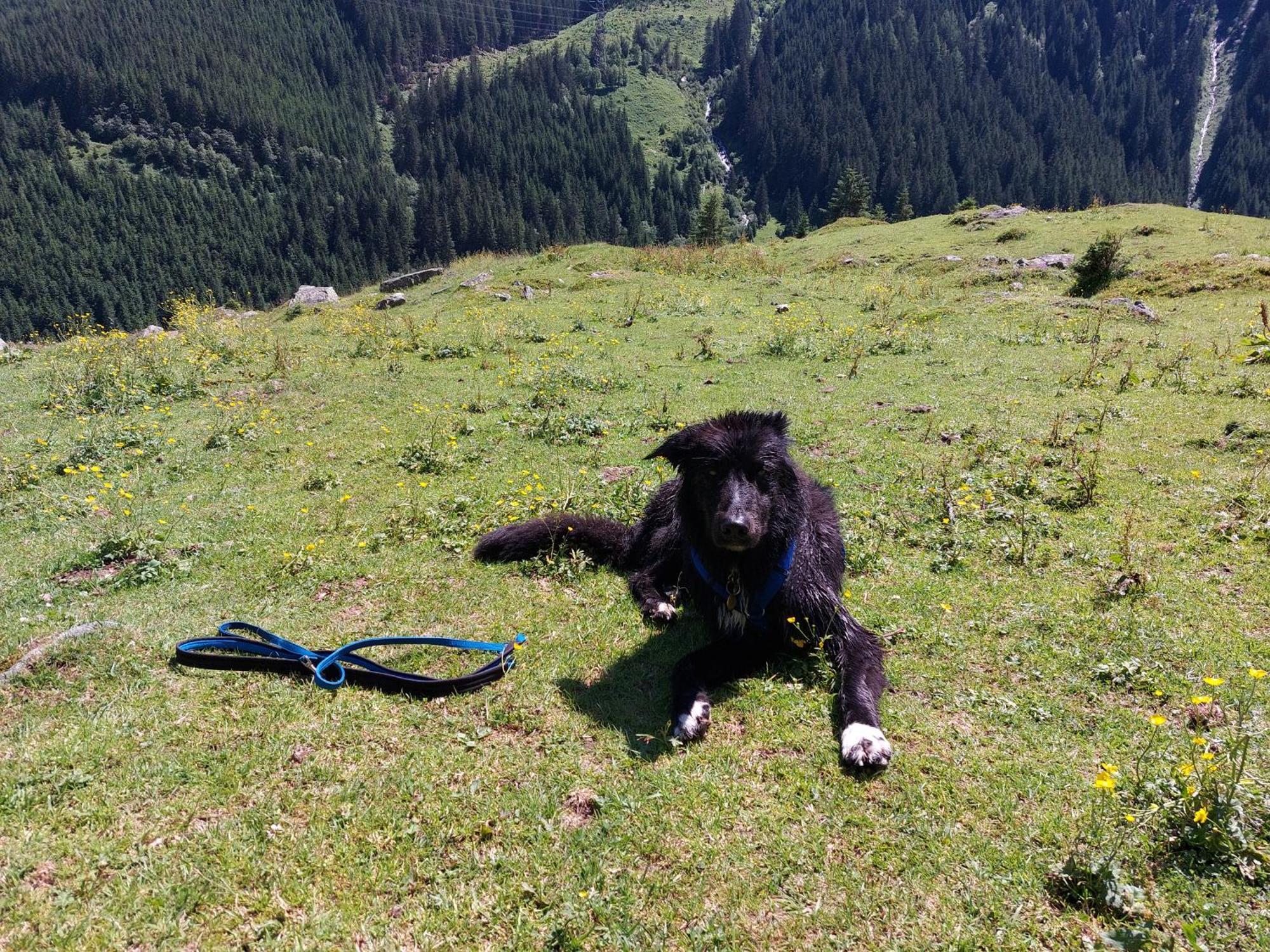 Fasserhof Bramberg am Wildkogel Kültér fotó